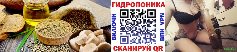 Canna-Cookies марихуана  Купить  Няндома 