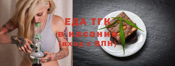 дживик Ельня