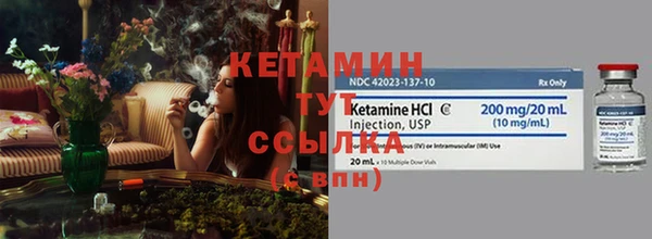 дживик Ельня