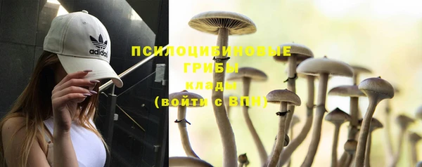 первитин Елизово