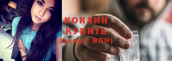 дживик Ельня