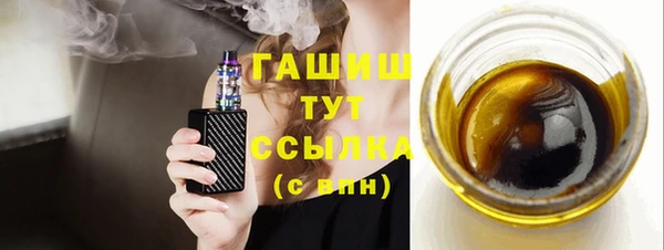 дживик Ельня