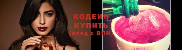 дживик Ельня