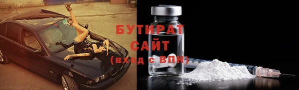 дживик Ельня