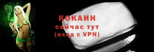 дживик Ельня