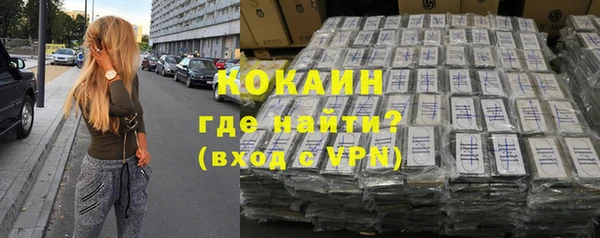 дживик Ельня