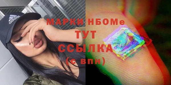 дживик Ельня