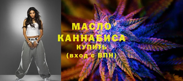 дживик Ельня