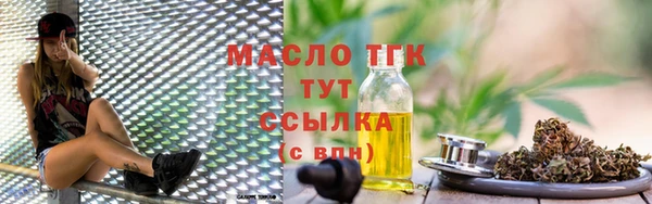 дживик Ельня