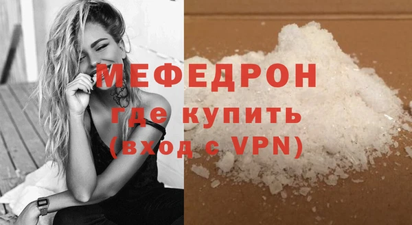дживик Ельня
