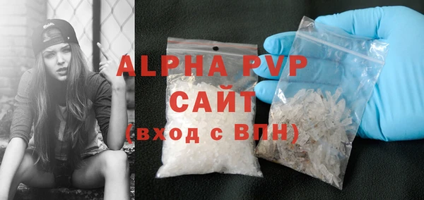 дживик Ельня
