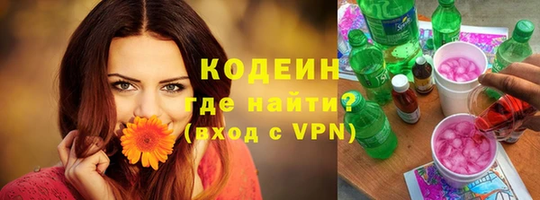 дживик Ельня
