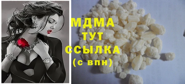 дживик Ельня